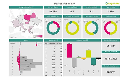 Business Analytics Tools - SageData