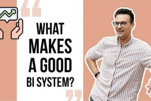 what-makes-a-good-bi-system